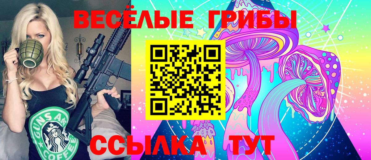 Городец  Галлюциногенные грибы Cubensis  Вход с VPN 