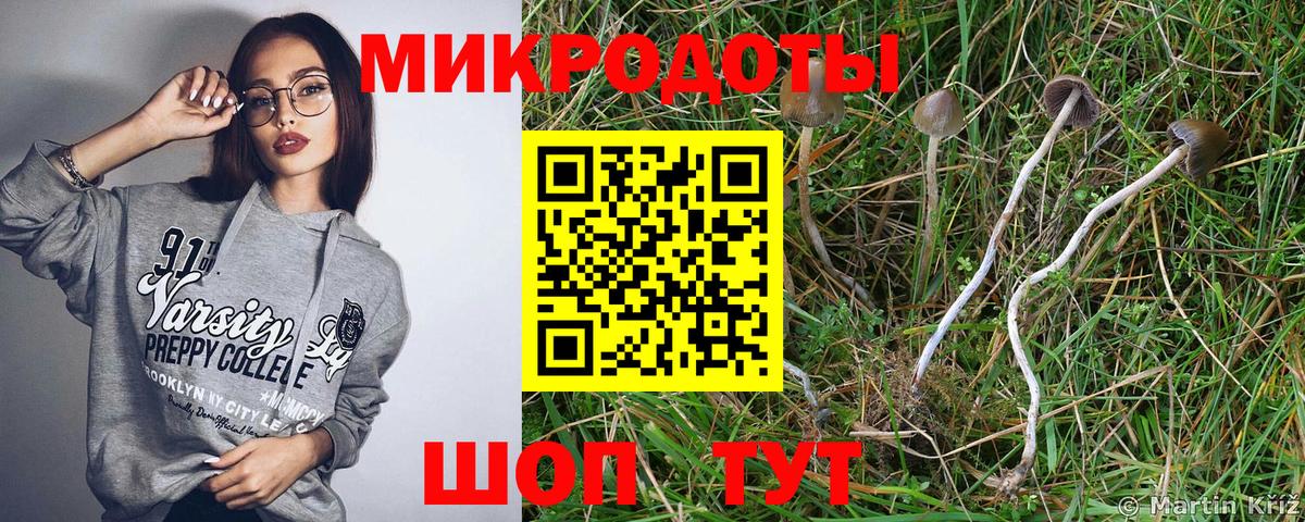 Псилоцибиновые грибы мухоморы Городец